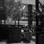 R0008420rg2