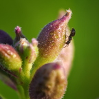 P7290150rg