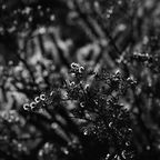 P7300024rg
