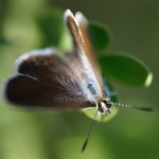 P7300112rg