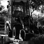 P9100830rg