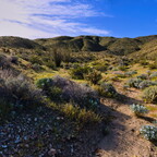 20260301-P3010374 stitch x8
