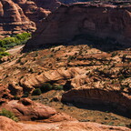 20260419-P4190045rg