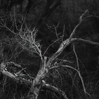 20260501-P5010014rg