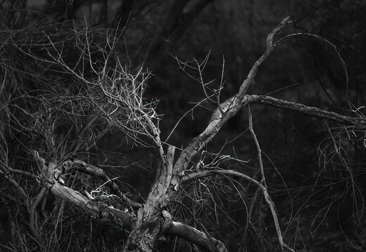 20260501-P5010014rg