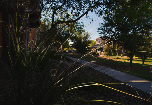20260502-R0010005rg
