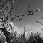 20260506-R0010161rg