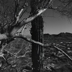 20260508-R0010229rg