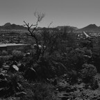 20260508-R0010258rg