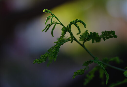 20260510-IMGP6748rg