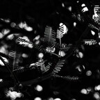 20260520-P5200002rg