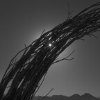 20260522-R0010313rg