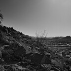 20260522-R0010337rg