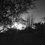 20260604-R0010359rg