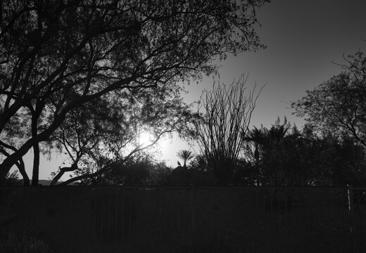 20260604-R0010359rg
