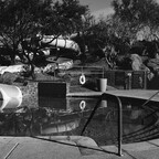 20260604-R0010364rg