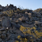 R0010418rg