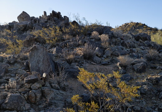 R0010418rg