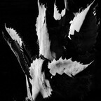 R0010457rg