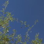 R0010548rg