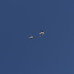 R0010551rg
