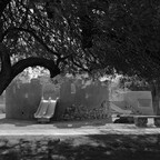 20260614-R0010661rg