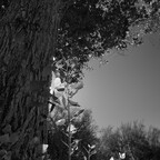 20260614-R0010703rg