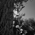 20260614-R0010708rg