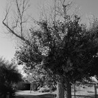 20260617-R0010746rg