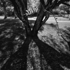 20260620-R0010802rg