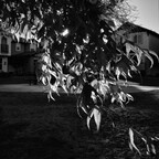 R0010836rg