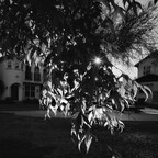 R0010843rg