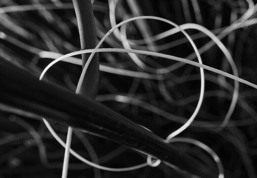 20260628-R0010977rg