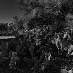 20260630-R0011029rg