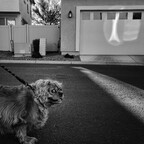 20260704-R0011128rg