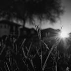 20260705-R0011171rg