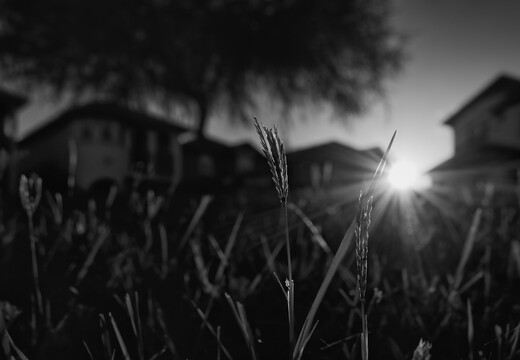 20260705-R0011171rg