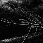 20260711-R0011226rg