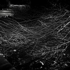 20260719-R0011337rg