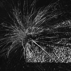 20260726-R0011475rg
