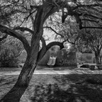 20260727-R0011479rg