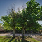 R0011552 stitchrg