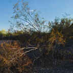 20260807-R0011634rg
