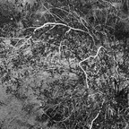 20260808-R0011671rg
