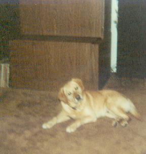 Another nostalgic item is my dad's Wide Screen TV in the background here. You had to be there I think.