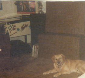 My old pinball machine Hokus Pokus in the background, which I used to play against my uncle, Tom Phillips, and I won all the tim