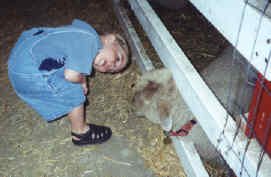jj at pumpkin patch