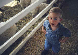 jj at pumpkin patch
