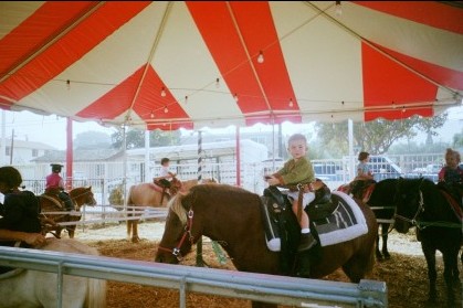 jj's horsey ride