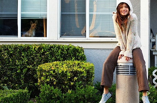 shek